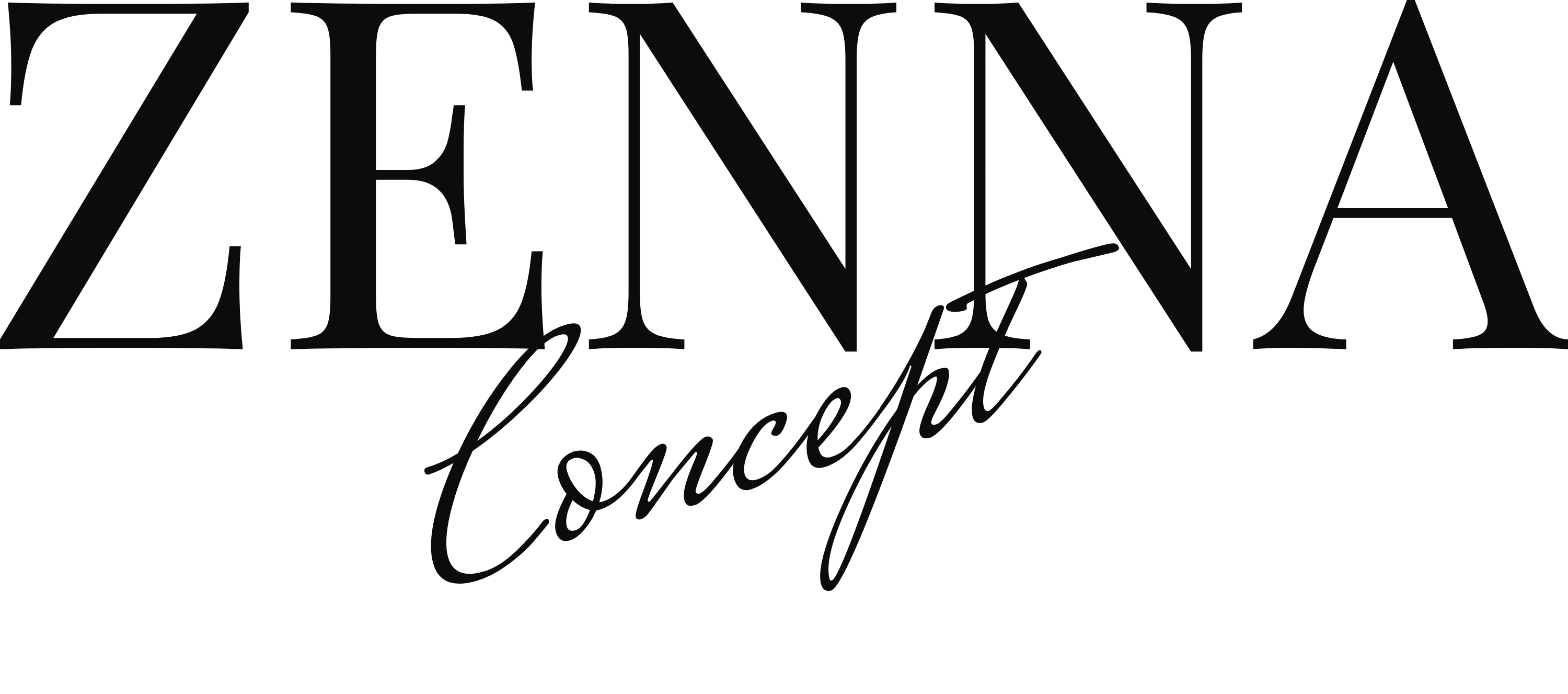 Zenna Concept Logo Siyah